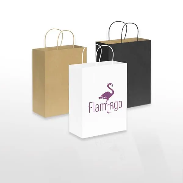 Brown paper carry bag manufacturer company in india delhi ncr
