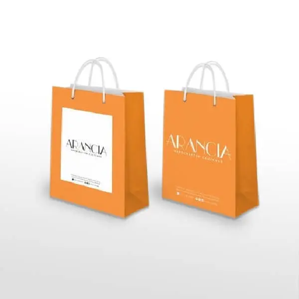 printed high quality paper carry bag manufacturer company in india delhi ncr